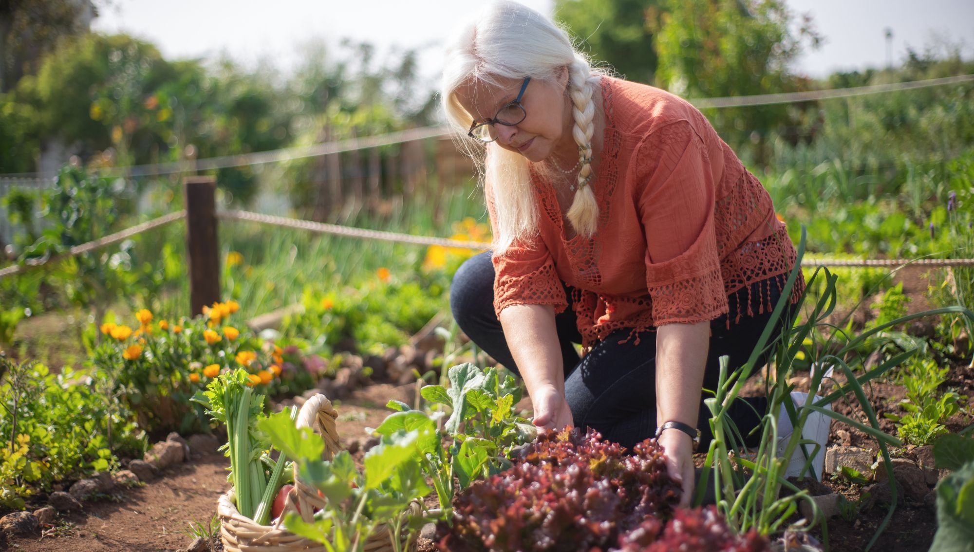 Margaret's Story – Stanwell Community Allotments - Surrey Care Trust